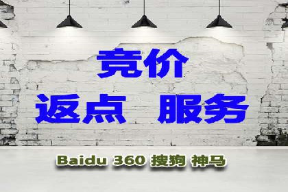 某品牌SEM广告策略揭秘——代运营公司的智慧